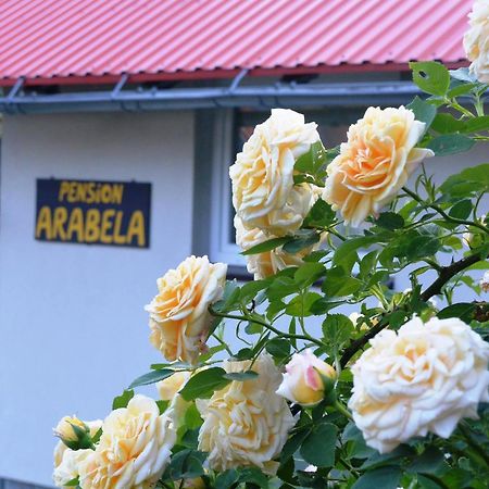 Pension Arabela Bed and Breakfast Harrachov Exterior foto