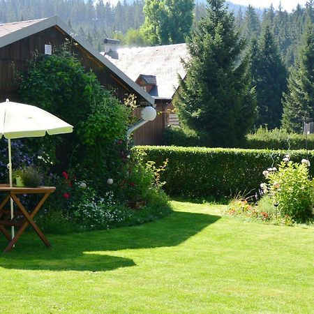 Pension Arabela Bed and Breakfast Harrachov Exterior foto