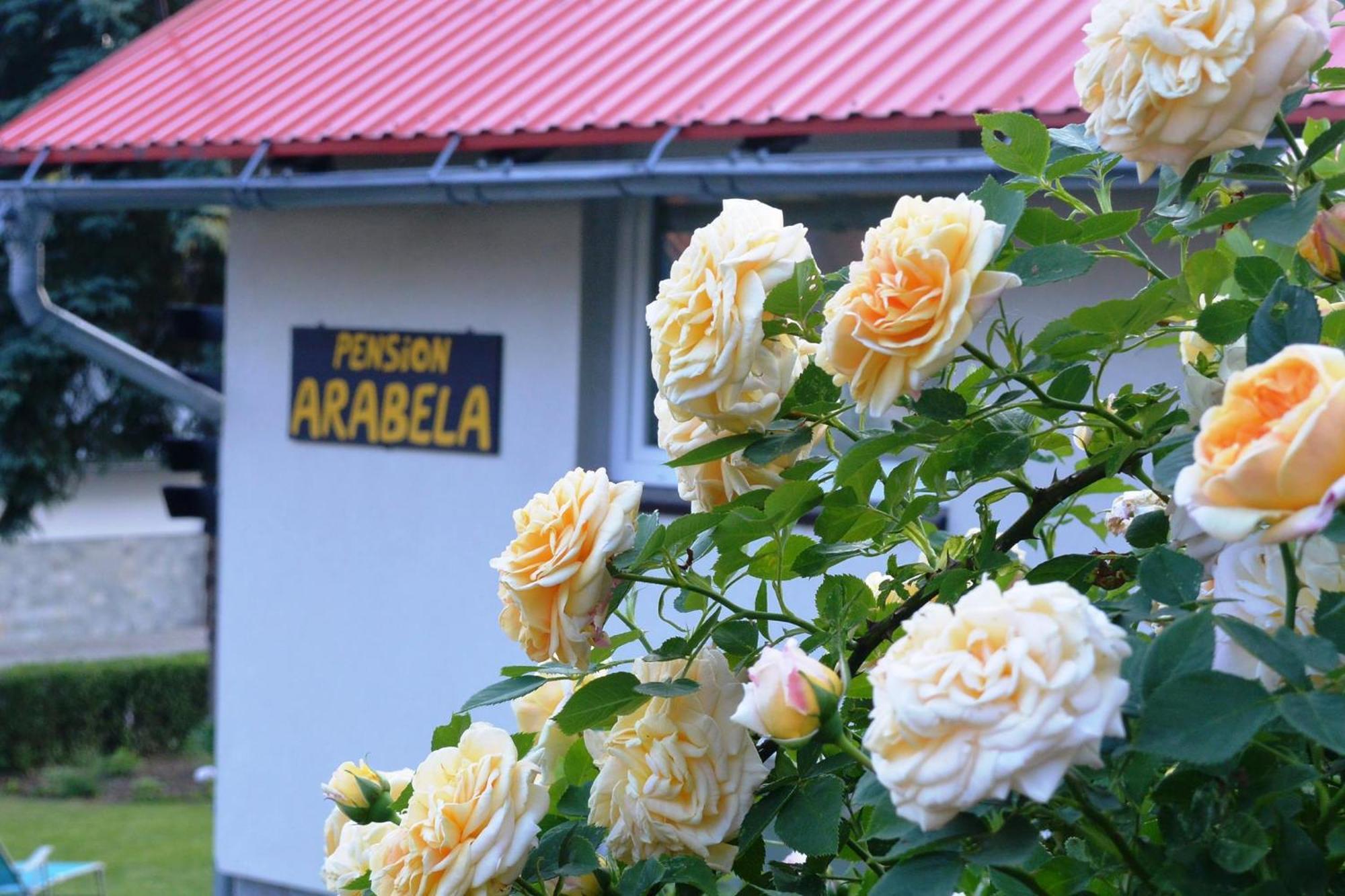 Pension Arabela Bed and Breakfast Harrachov Exterior foto