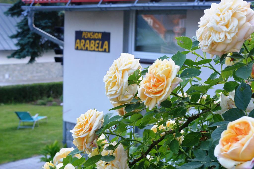 Pension Arabela Bed and Breakfast Harrachov Exterior foto